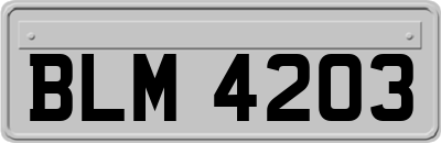 BLM4203