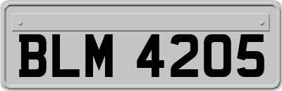 BLM4205