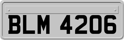 BLM4206