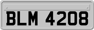 BLM4208