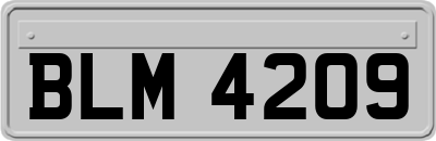 BLM4209