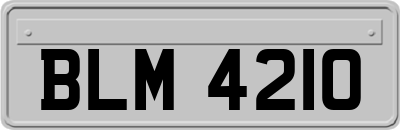 BLM4210