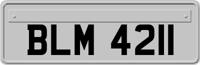 BLM4211