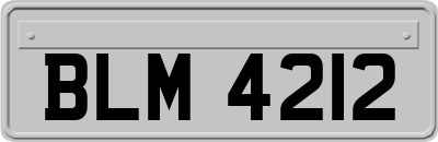 BLM4212