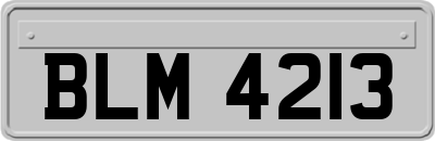 BLM4213
