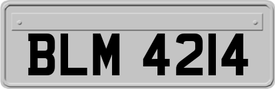 BLM4214
