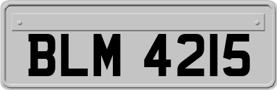 BLM4215