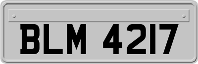 BLM4217