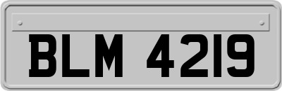 BLM4219