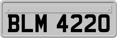 BLM4220
