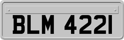 BLM4221