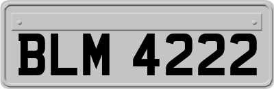 BLM4222