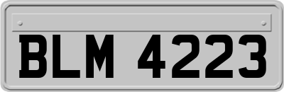 BLM4223