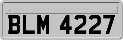 BLM4227