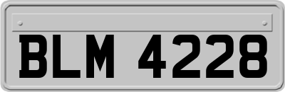 BLM4228
