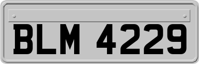 BLM4229