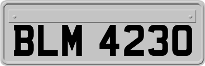 BLM4230