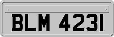 BLM4231
