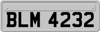 BLM4232
