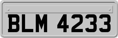 BLM4233