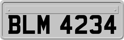 BLM4234