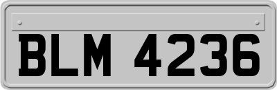 BLM4236