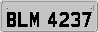 BLM4237