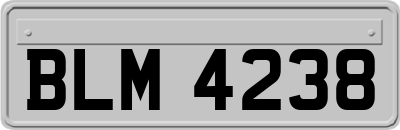 BLM4238