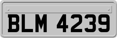 BLM4239