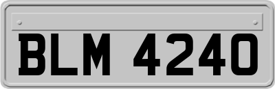 BLM4240