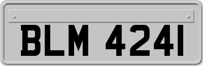 BLM4241