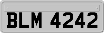 BLM4242