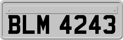 BLM4243