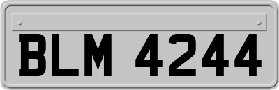 BLM4244