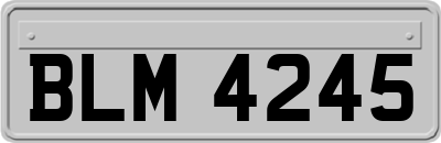 BLM4245