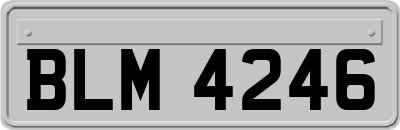 BLM4246