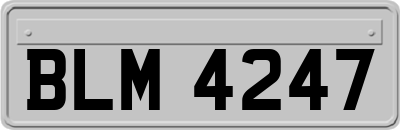 BLM4247