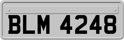 BLM4248