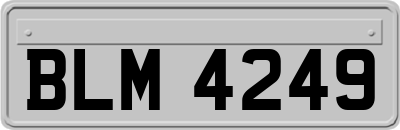 BLM4249