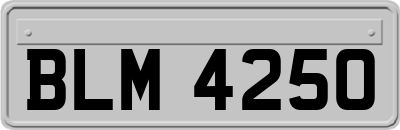 BLM4250