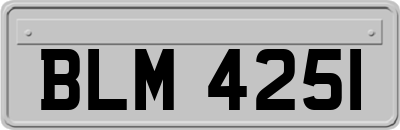 BLM4251