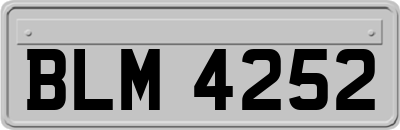 BLM4252