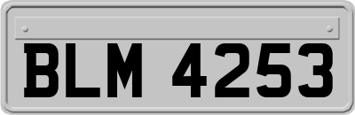 BLM4253