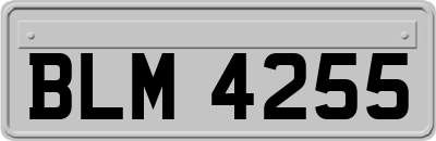 BLM4255