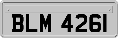 BLM4261