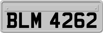 BLM4262