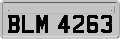 BLM4263