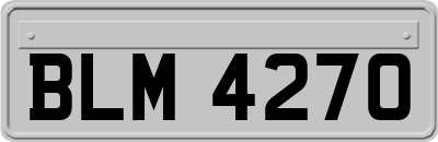 BLM4270