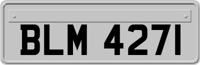 BLM4271