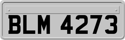 BLM4273